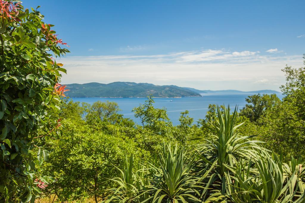 Ivanini Secluded Stone Villa With A Stunning View Brseč エクステリア 写真